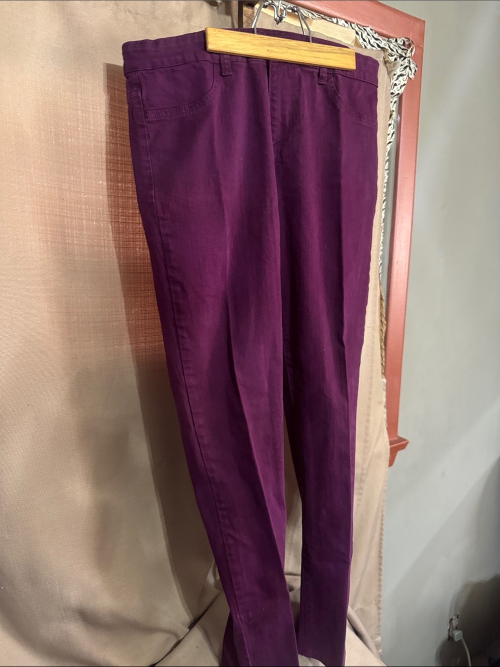 Calvin Klein Jeans Stylish Women's Purple Jeans